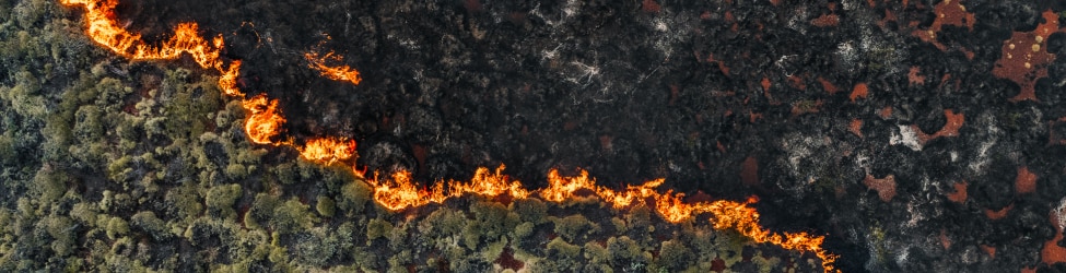 Wildfire Response through Advanced Utility Control Room Technology | AspenTech OSI Fire Zone Management