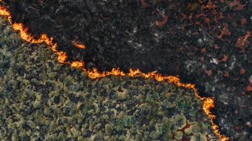 Wildfire Response through Advanced Utility Control Room Technology | AspenTech OSI Fire Zone Management