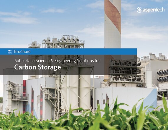 Subsurface Science & Engineering Solutions for Carbon Storage 
