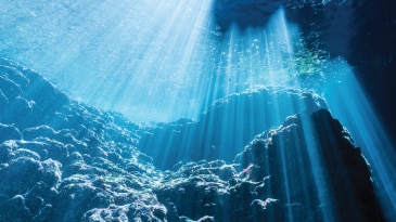 A Full 360 Degrees of Insight into the Subsurface Aspen EarthStudy 360