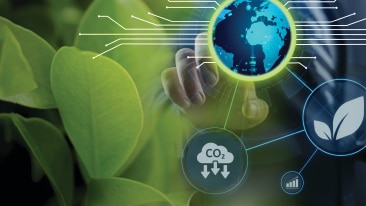 Executive Brief: Digitalization Strategies to Gain Leadership in Sustainability