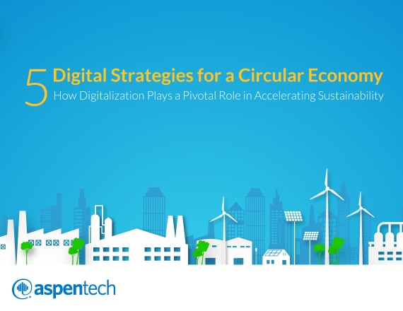 5 Digital Strategies for a Circular Economy