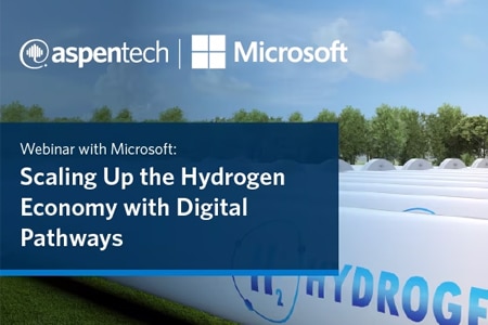 Scaling Up the Hydrogen Economy with Digital Pathways