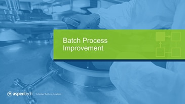 Batch Process Improvement - Application Overview