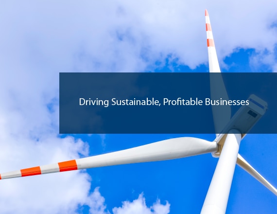 Driving Sustainable Profitable Businesses