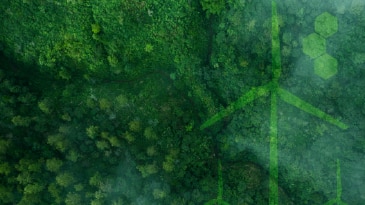 White Paper: Accelerating the Hydrogen Economy Through Digitalization