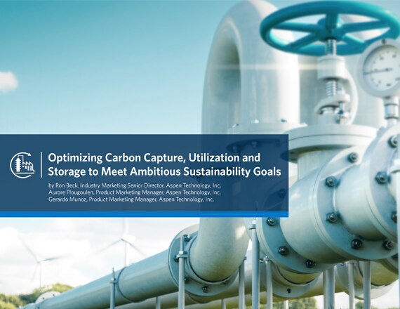 Optimizing Carbon Capture Utilization and Storage (CCUS) to Meet Ambitious Sustainability Goals
