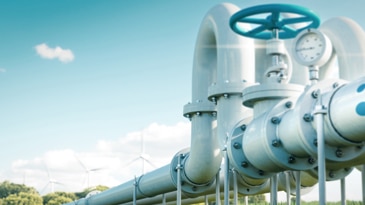 Optimizing Carbon Capture, Utilization and Storage to Meet Ambitious Sustainability Goals 