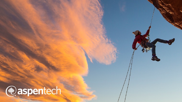 White Paper: Optimize CAPEX, Reduce Risk and Maximize Performance Across the Plant & Enterprise Lifecycle.